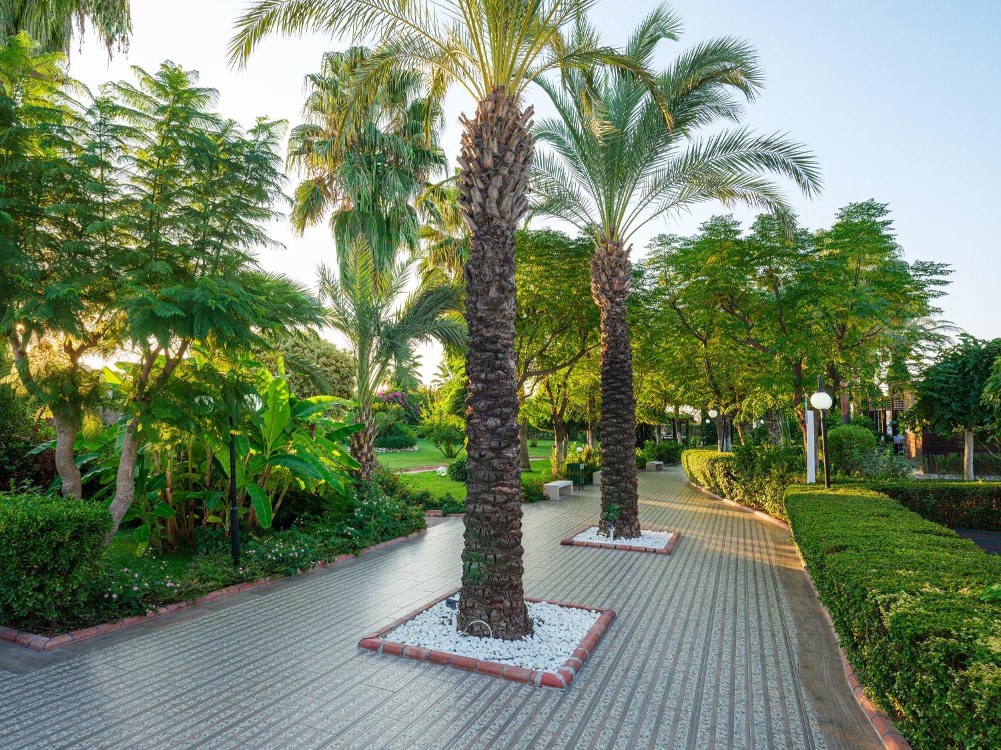 Aydinbey Famous Resort Белек Экстерьер фото